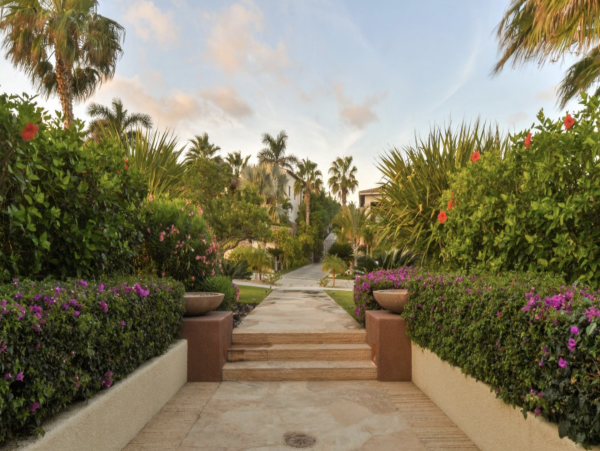Los Cabos Pure Luxury Fully Staff Vacation Beach Villa