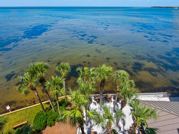 Beaches Of South Walton Condo 988693