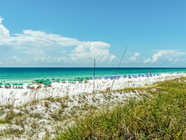 Beaches Of South Walton Home 988694