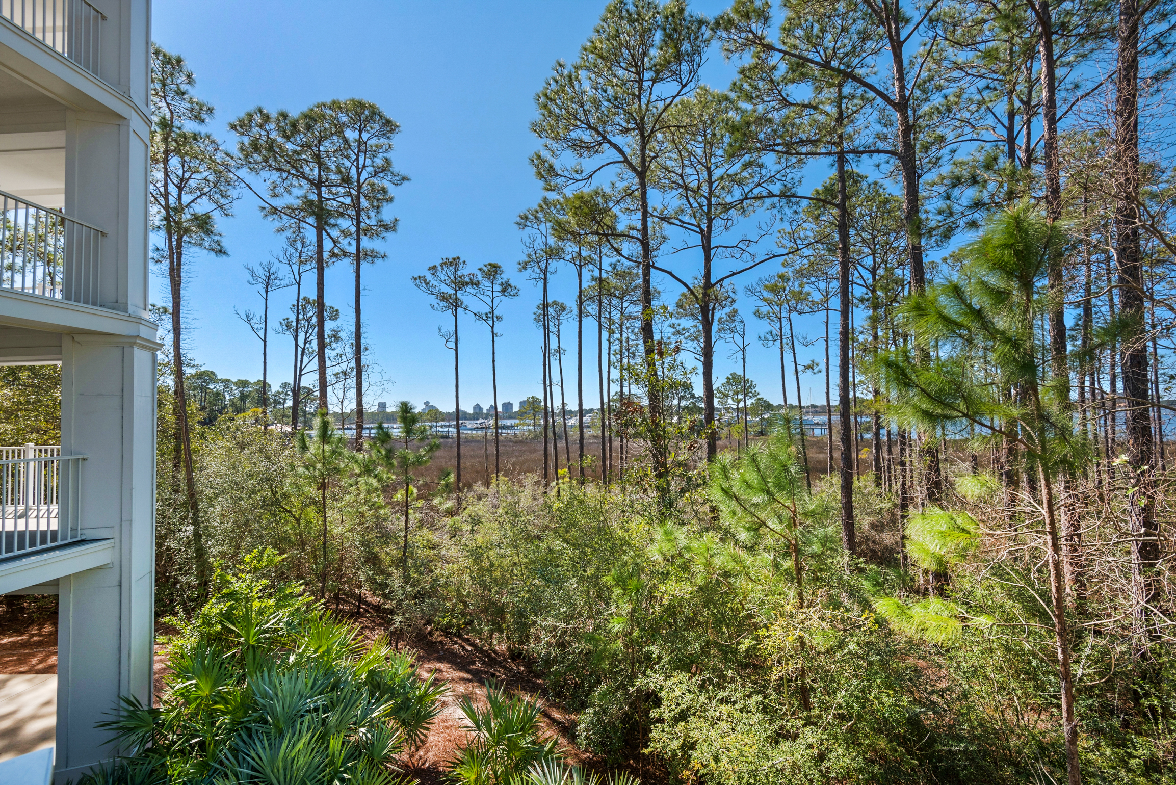Beaches Of South Walton Condo 988702