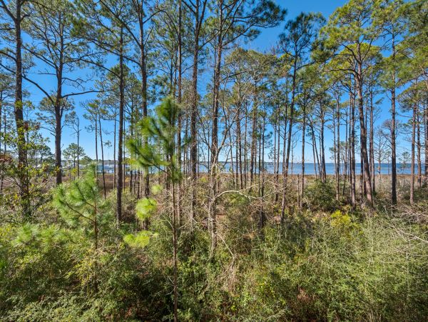 Beaches Of South Walton Condo 988702