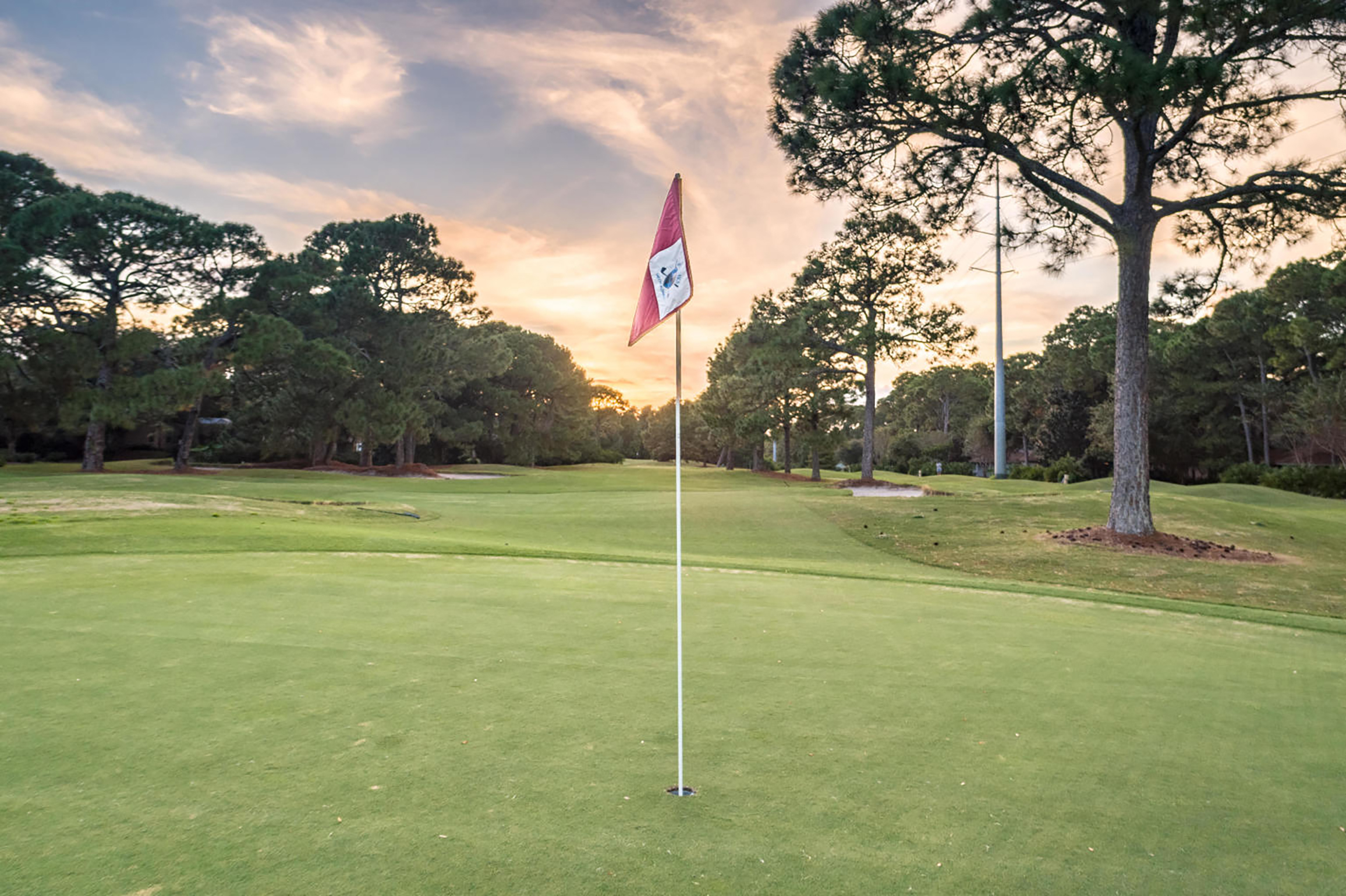 Beaches Of South Walton Condo 988702