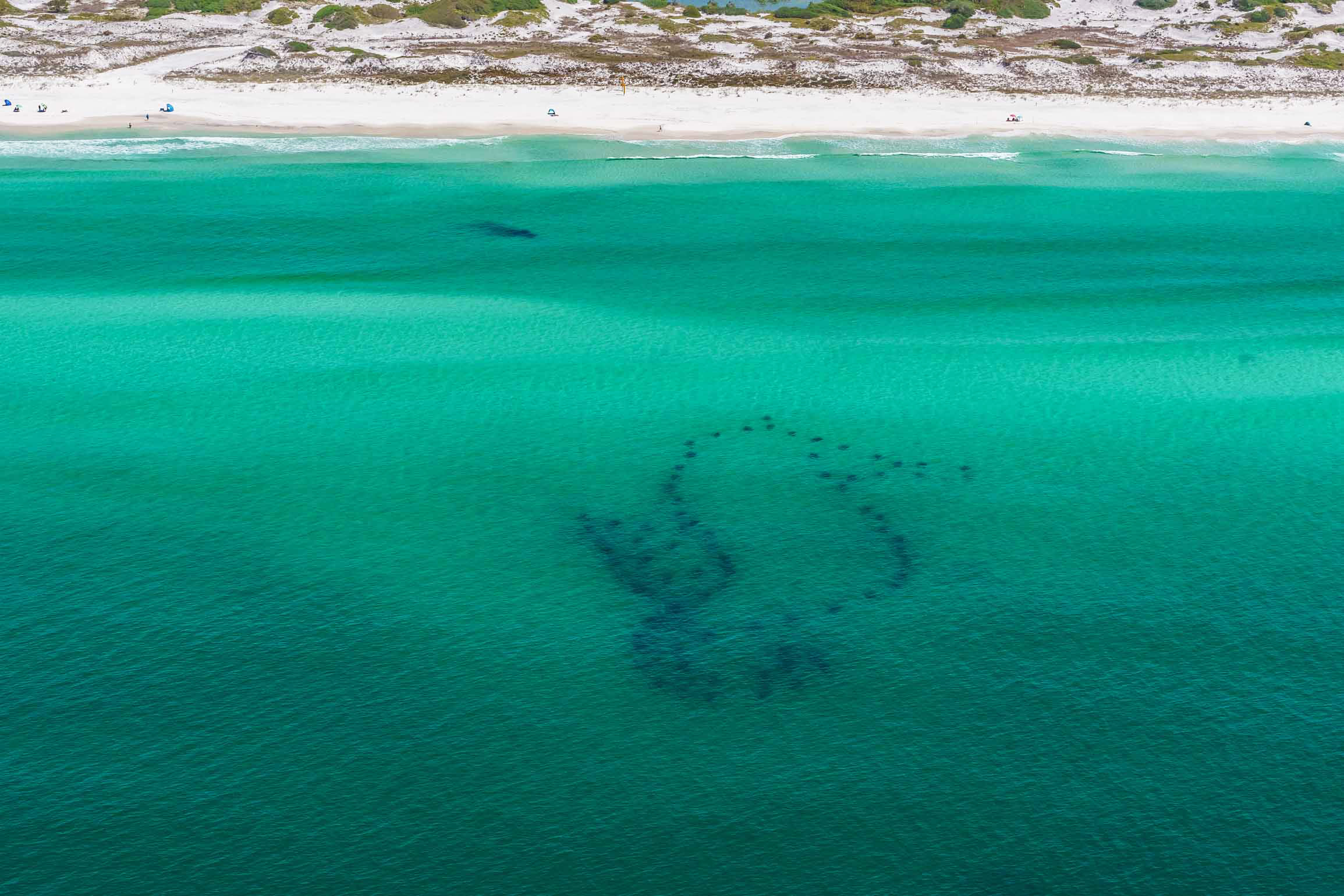 Beaches Of South Walton Condo 988702
