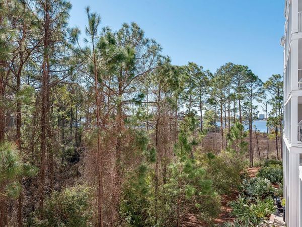 Beaches Of South Walton Condo 988712