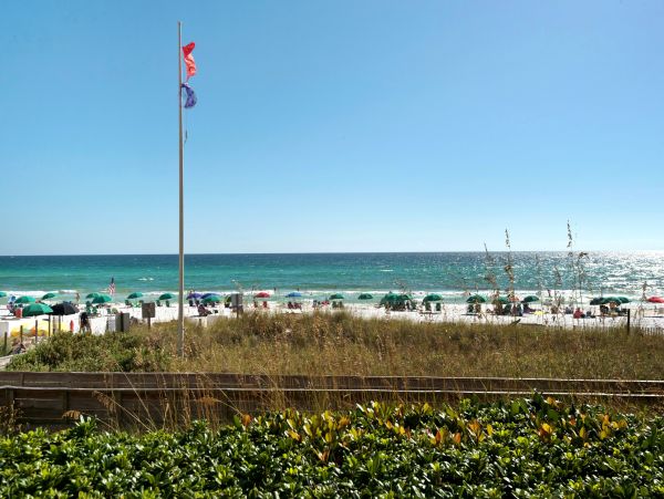 Beaches Of South Walton Condo 988714