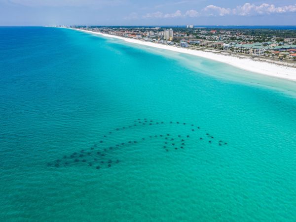 Beaches Of South Walton Condo 988718