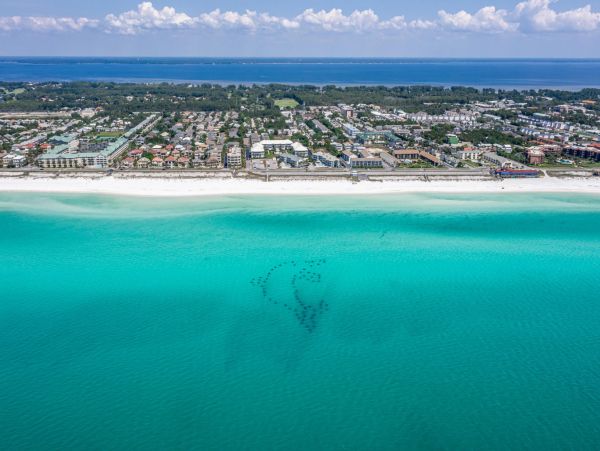 Beaches Of South Walton Condo 988732
