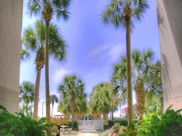 Beaches Of South Walton Condo 988733