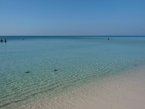 Beaches Of South Walton Condo 988740