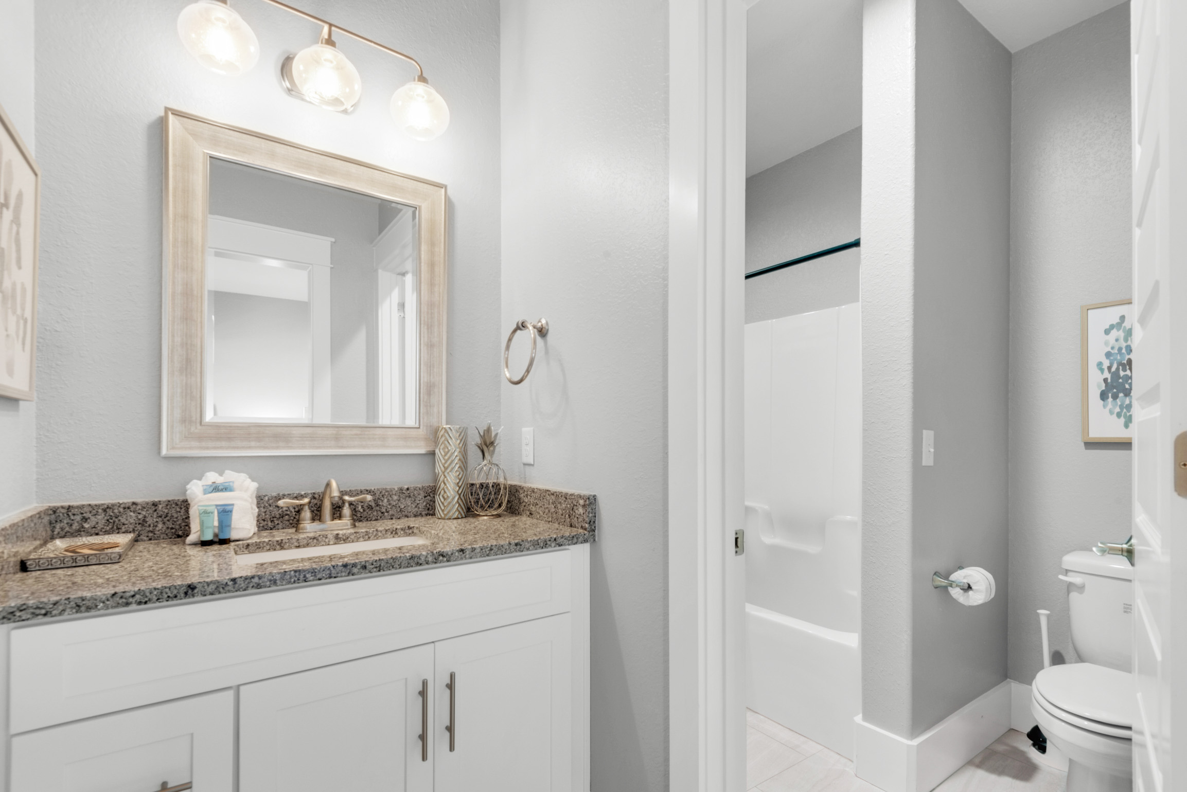 Beaches Of South Walton Home 988749