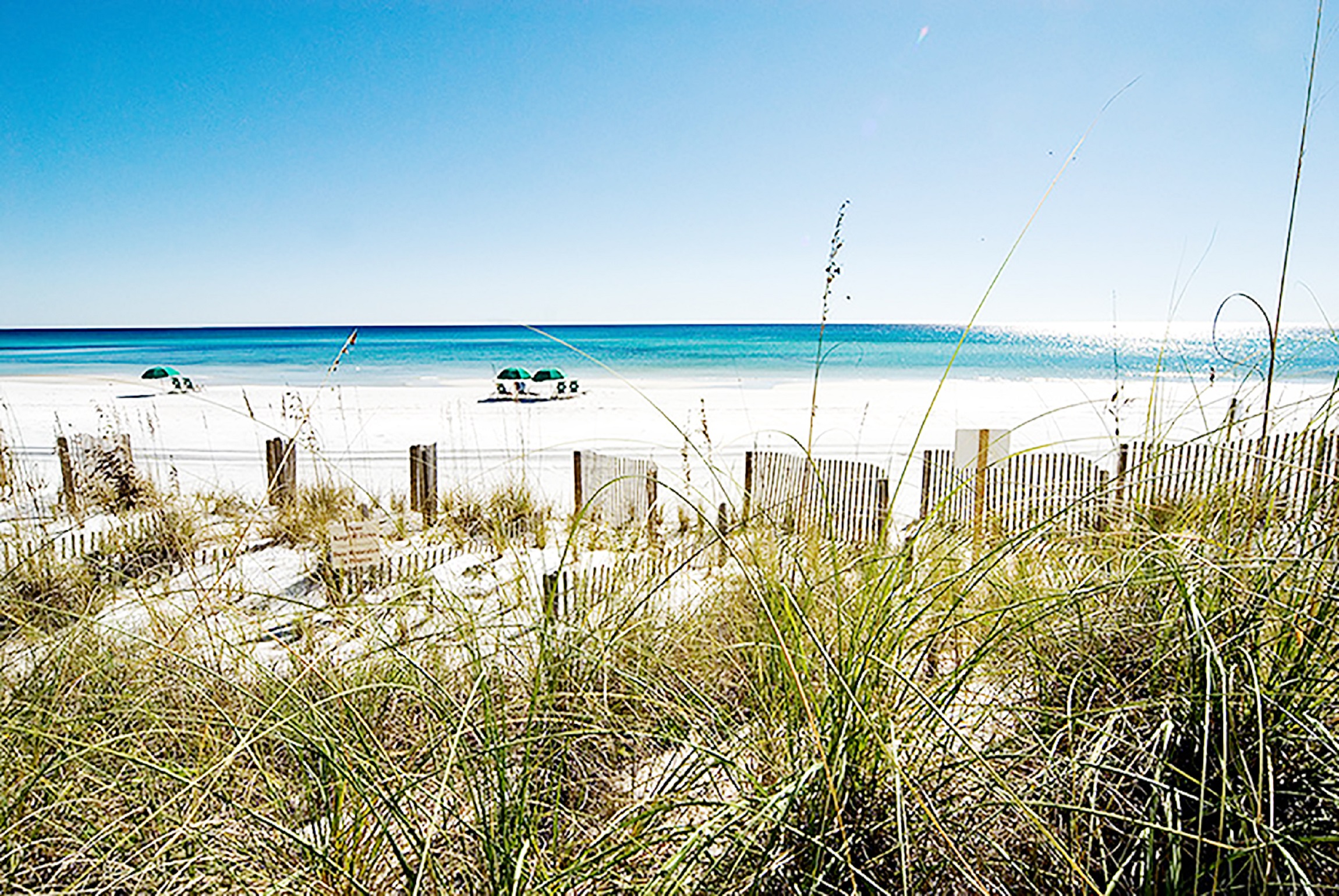 Beaches Of South Walton Condo 988768