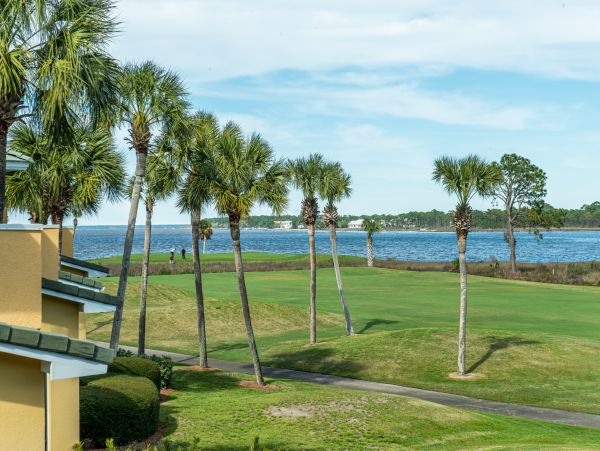 Beaches Of South Walton Condo 988771