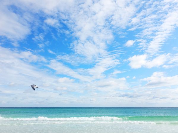 Beaches Of South Walton Condo 988776