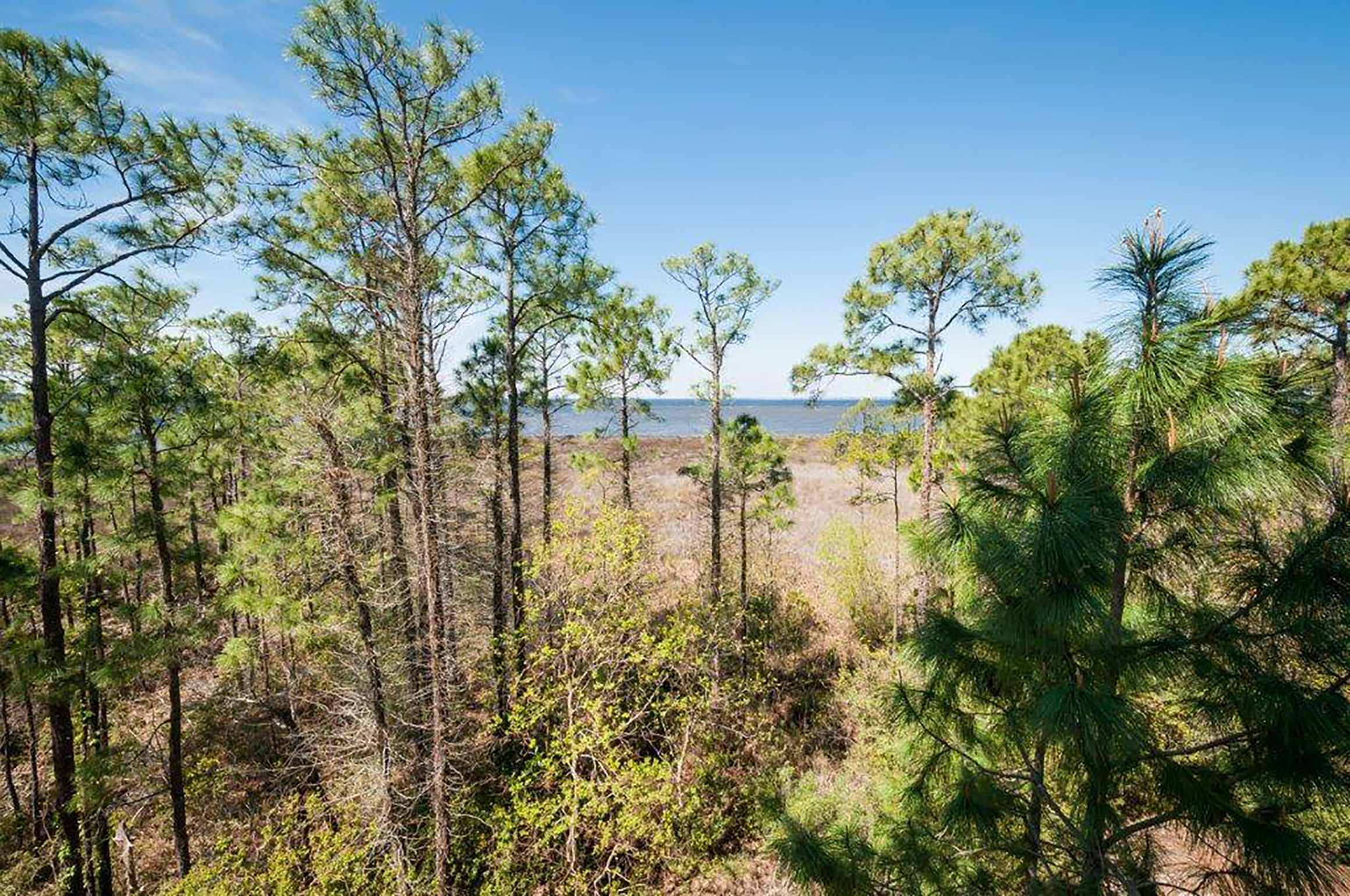 Beaches Of South Walton Condo 988777