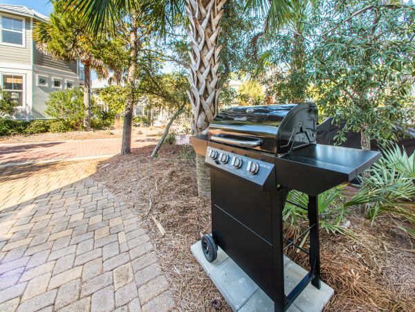 Beaches Of South Walton Home 988786