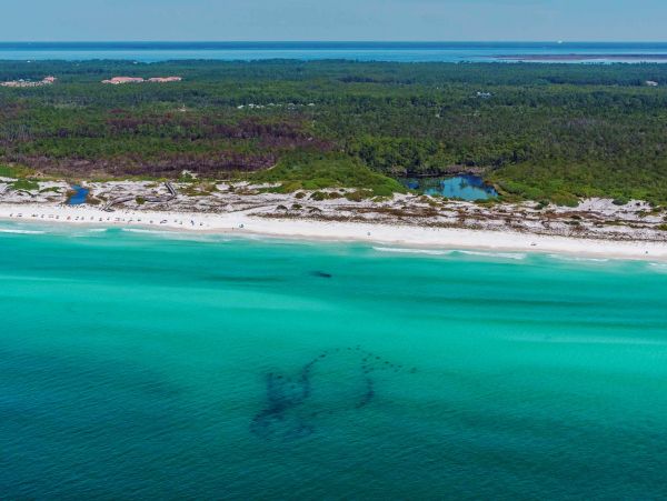 Beaches Of South Walton Home 988792