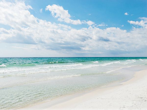 Beaches Of South Walton Condo 988802