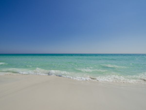 Beaches Of South Walton Condo 988810