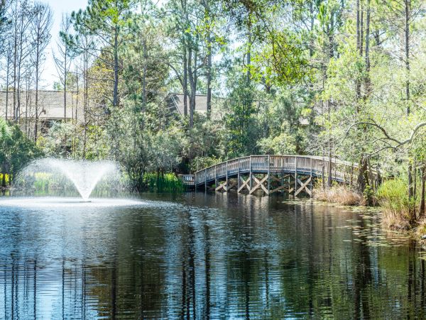 Beaches Of South Walton Home 988818