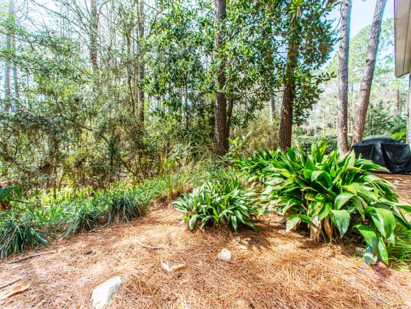 Beaches Of South Walton Home 988818