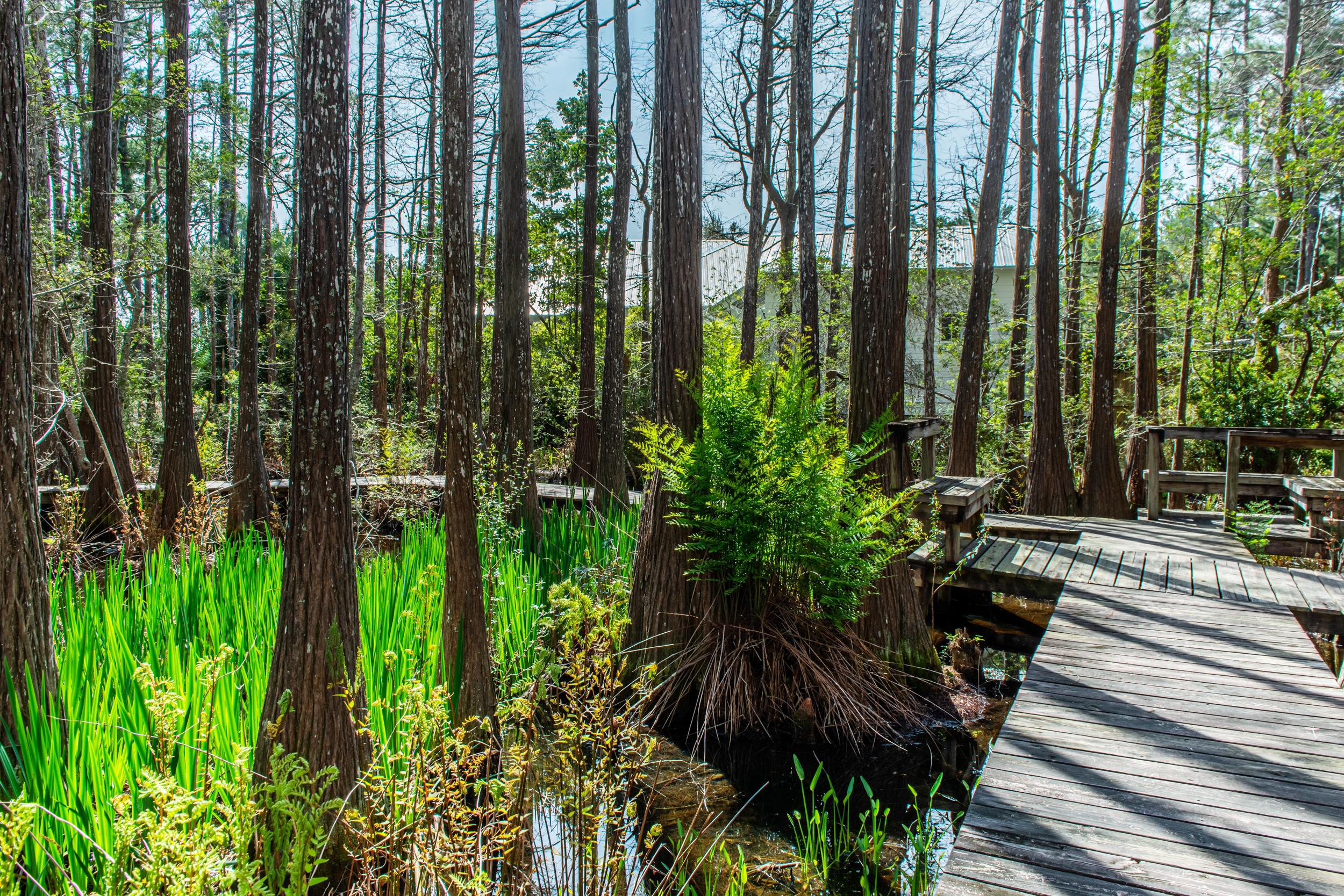 Beaches Of South Walton Home 988818