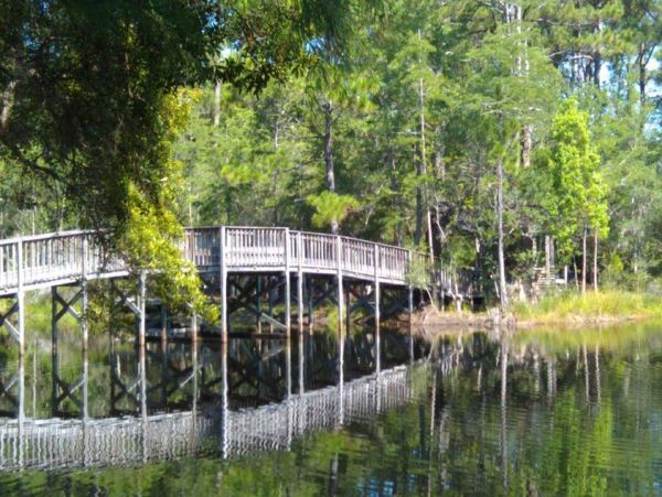 Beaches Of South Walton Home 988828