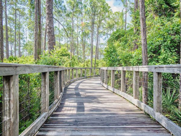 Beaches Of South Walton Home 988836