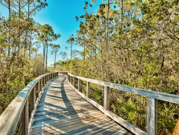 Beaches Of South Walton Home 988838
