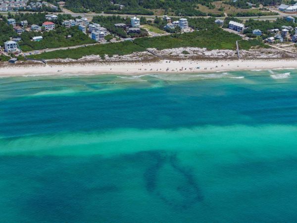 Beaches Of South Walton Home 988849