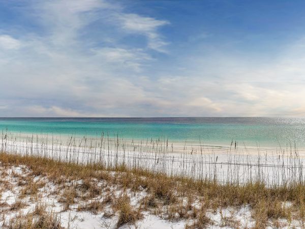 Beaches Of South Walton Condo 988860