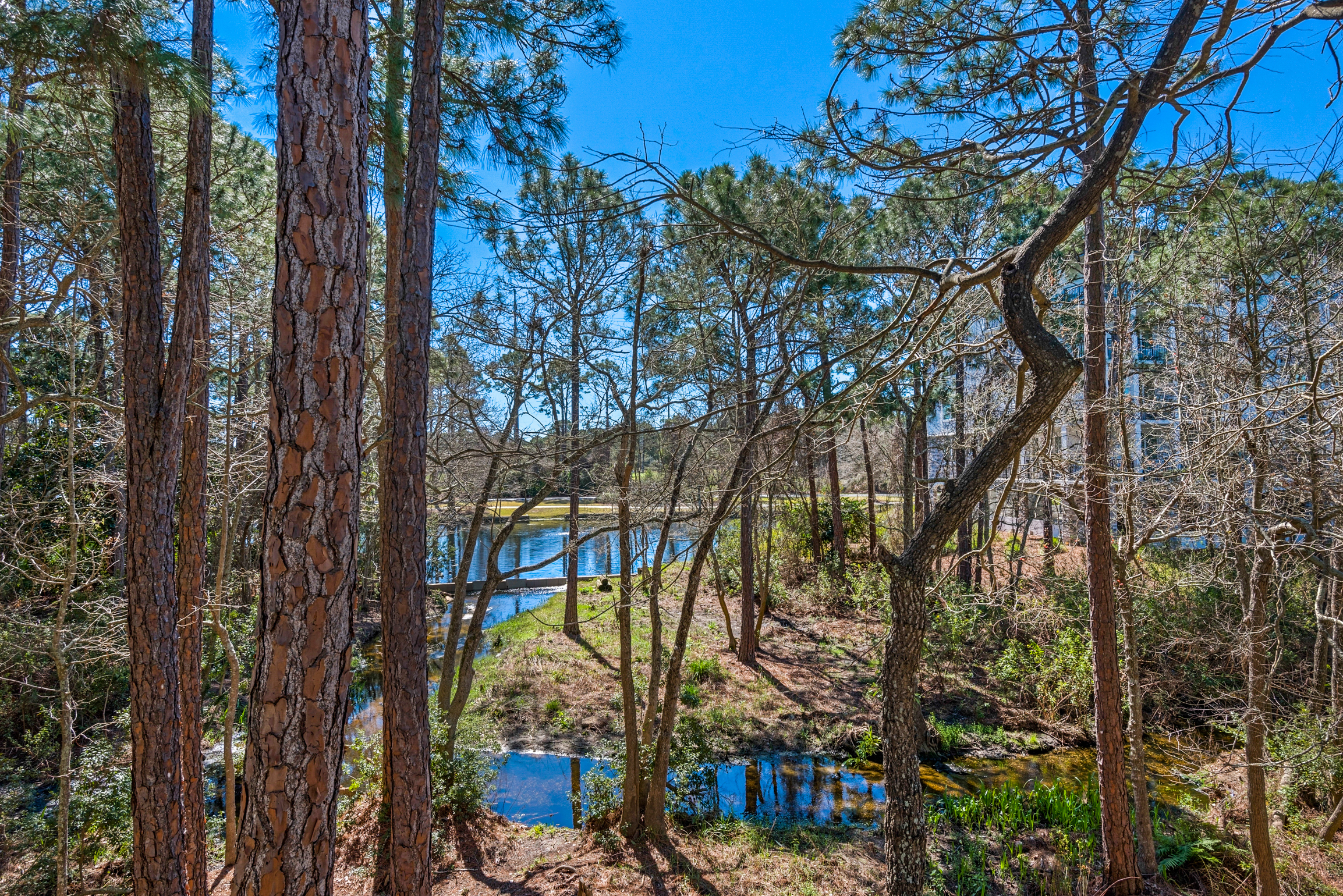 Beaches Of South Walton Home 988864