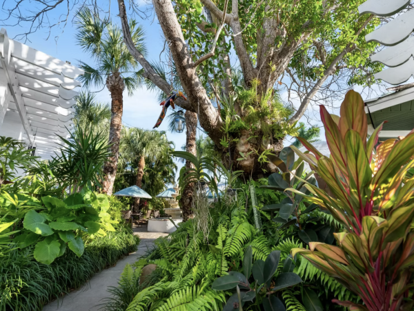 Stroll To Anna Maria Island World Class Beaches