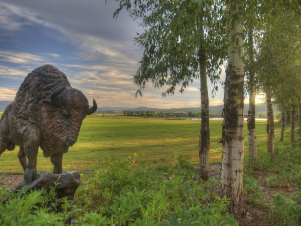 Steamboat Springs Home 988917