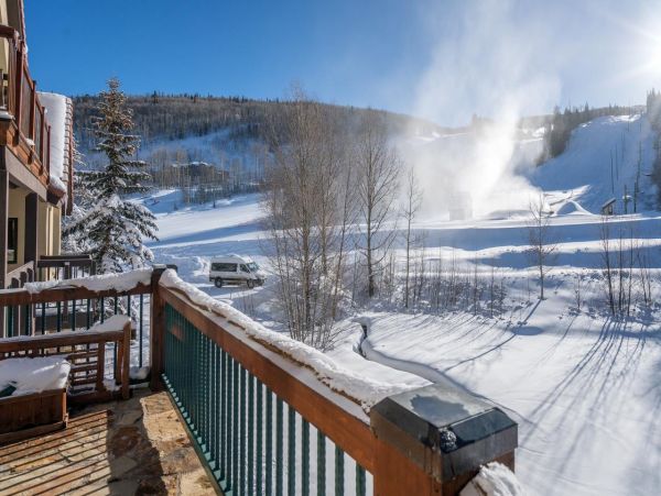 Steamboat Springs Home 988928