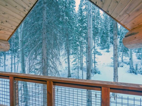 Steamboat Springs Home 988947