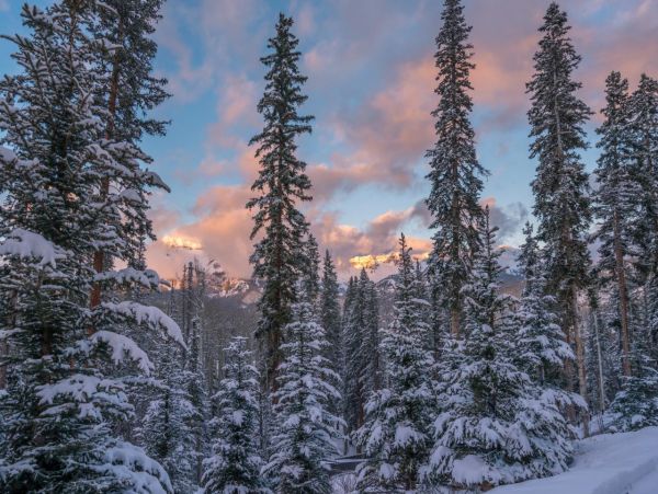 Steamboat Springs Home 988957