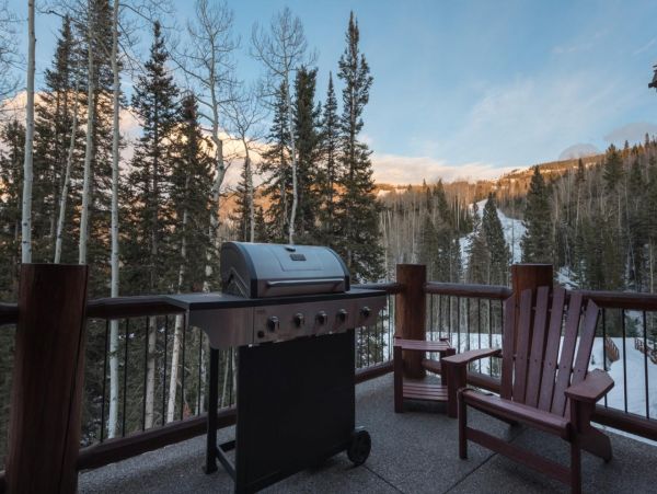 Steamboat Springs Home 988977