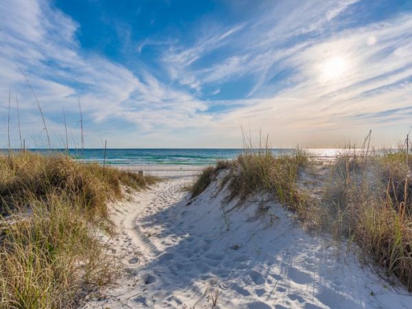 Panama City Beach Home 989050