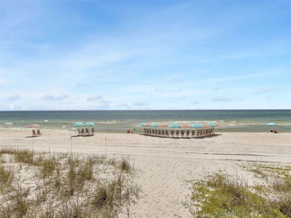 Oceanfront Vacation Home in Panama Beach Sleeps 22