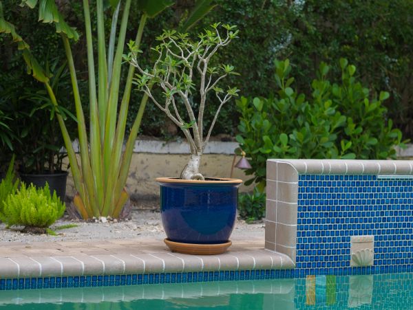 Boca Raton Condo 989080