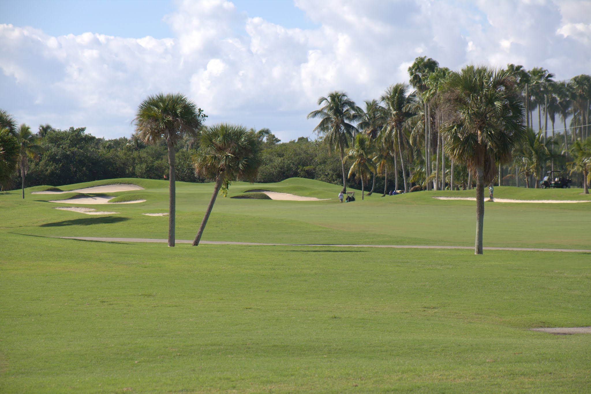 Boca Raton Home 989093