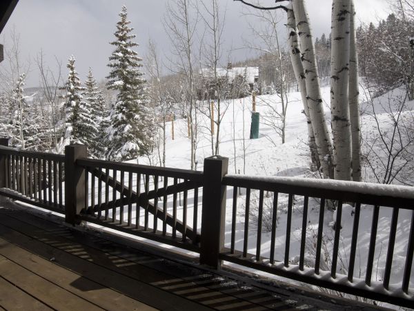 Beaver Creek Luxury  Ski In Ski Out Vacation Rental Home