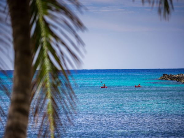Oceanfront Luxury Vacation Villa in Puerto Aventuras Sleeps 8