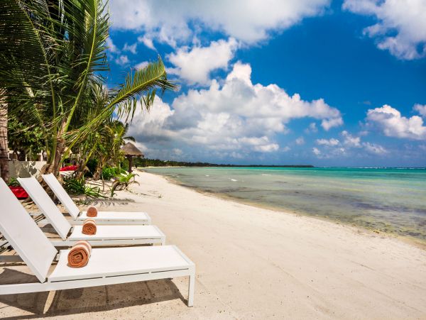 Tulum Home 989152