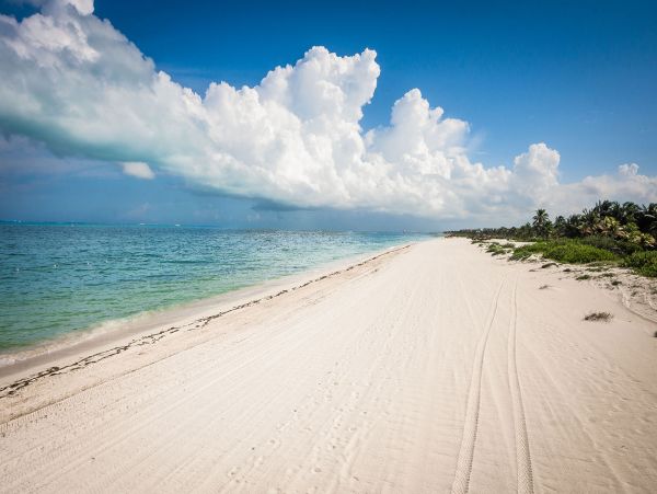 Tulum Home 989153