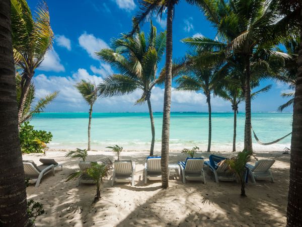 Tulum Home 989155