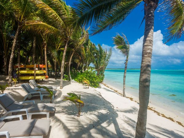 Tulum Home 989155