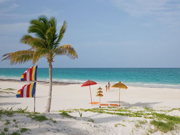 Tulum Home 989156