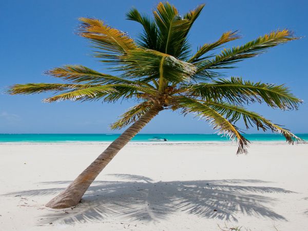 Tulum Home 989156