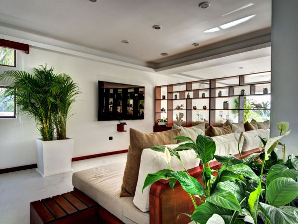 Tulum Home 989160
